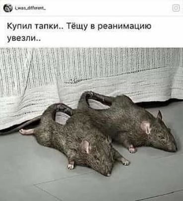 а ш Купил тапки Тёщу в реанимацию