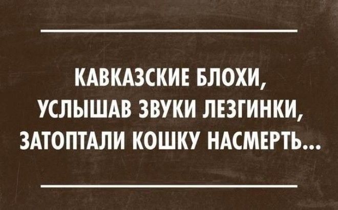 КАВКАЗСКИЕ БЛОХИ УСЛЫШАВ ЗВУКИ ЛЕЗГИНКИ ЗАТОПТАЛИ КОШКУ НАСМЕРТЬ