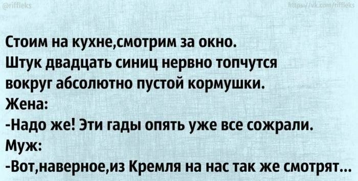Стоим на кухнесмотрим за окно Штук двадцать синиц нервно топчутся вокруг абсолютно пустой кормушки Жена Надо же Эти гады опять уже все сожрали Муж Вотнаверноеиз Кремля на нас так же смотрят