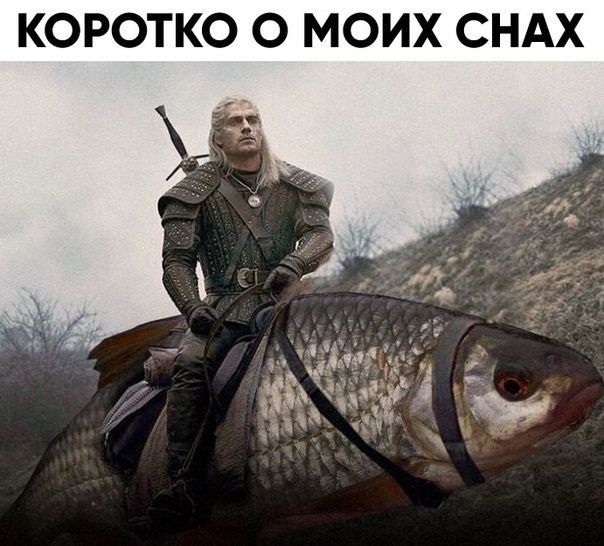 КОРОТКО О МОИХ СНАХ