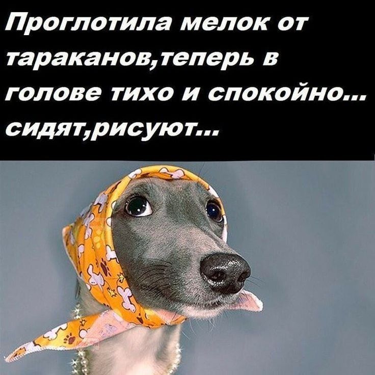 Проглотила мелок от тараканов теперь в голове тихо и спокойно сидят рисуют