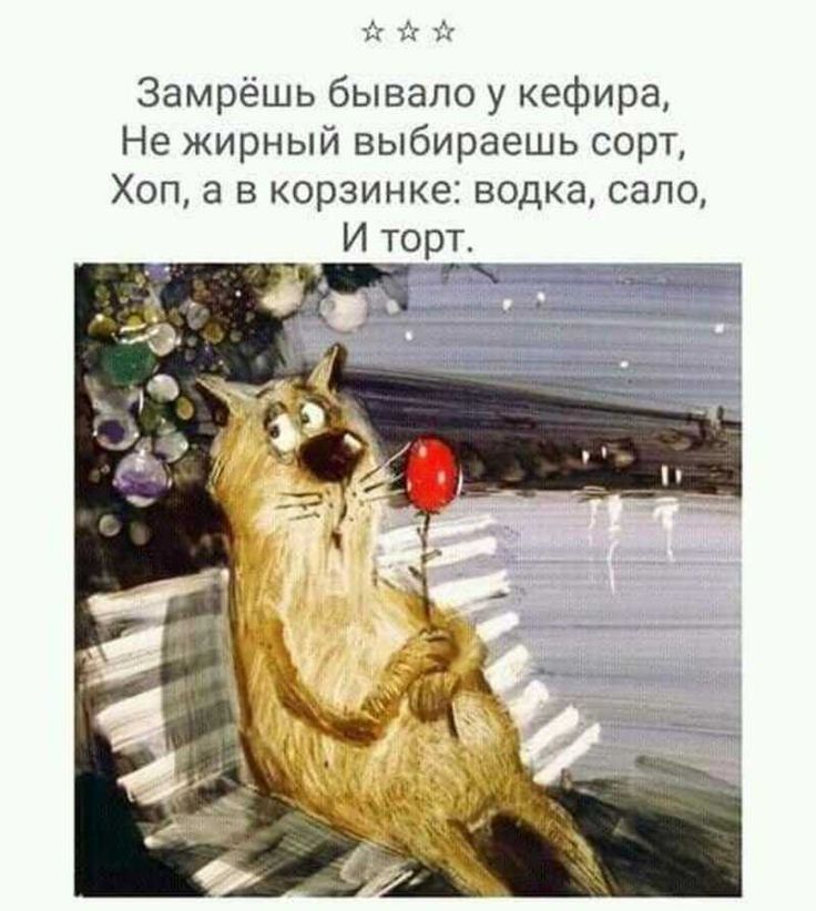 Замрёшь бывало у кефира Не жирный выбираешь сорт Хоп а в корзинке водка сало