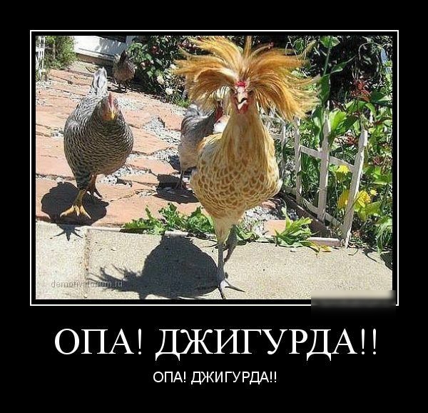 ОПА ДЖИГУРДАН ОПА ДЖИ ГУРДАН