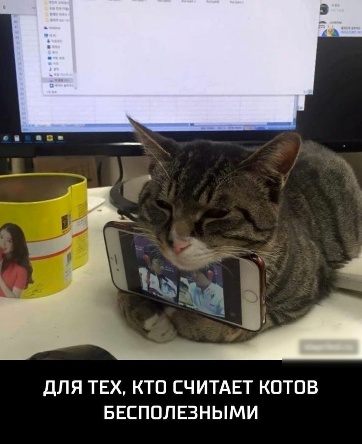 ДЛЯ ТЕХ КТП СЧИТАЕТ КПТОВ БЕЕПОЛЕЗНЫМИ