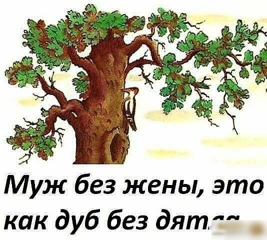 Муж без жены это как дуб без дят