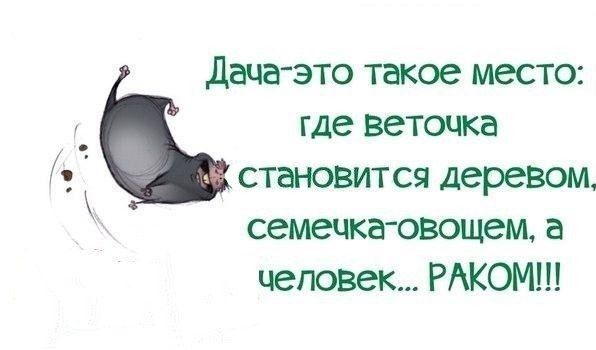 дача это такое место где веточка становится деревом семечка овощем а человек РАКОМ