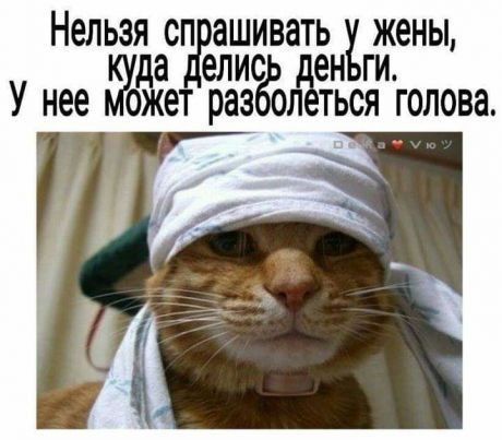 Нельзя сп ашивать жены дуда елис ен ги У нее ожет раз ол ться голова