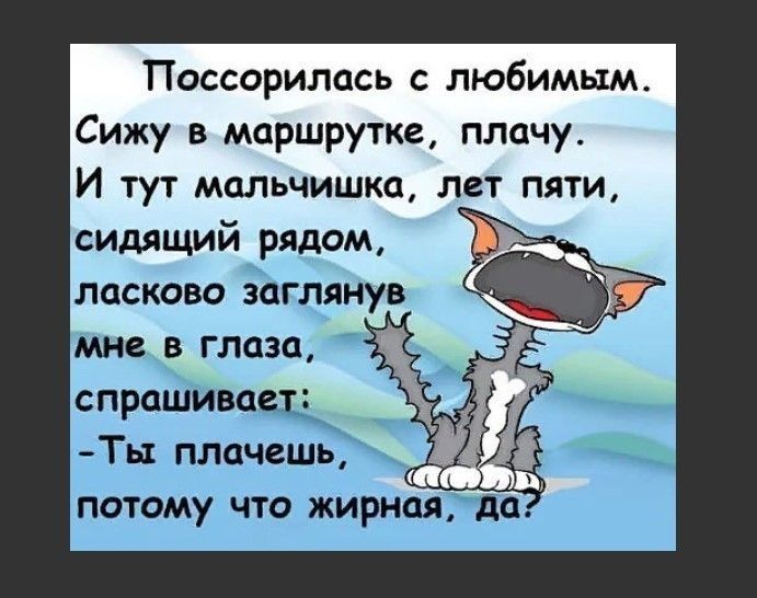 Поссорилась любимым Сижу в маршрутке плачу И тут мальчишка лет пяти сидящий рядом ласково заглянув мне в глаза спрашивает ТЬ1 плачешь потому что жирная да