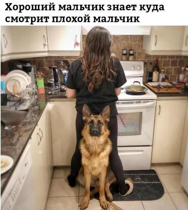 Хороший мальчик знает куда смотрит плохой мальчик _
