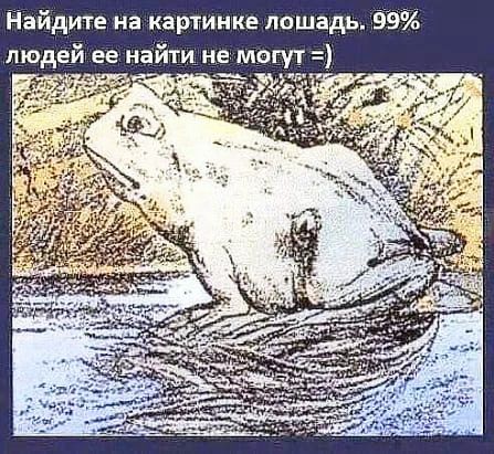 Найдите на картинке лошпдъ 99 людей ее найти не могут