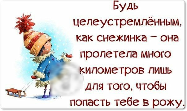 Будь цепеустремпённым как снежинка она пропетепа много километров лишь для тогочтобы попасть тебе в рожу