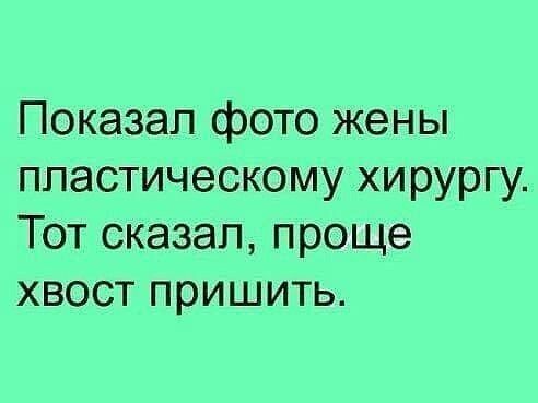 Показал фото жены пластическому хирургу Тот сказал проще хвост пришить