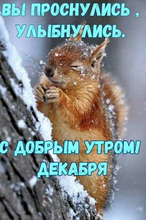 вы ыпреенудиеь