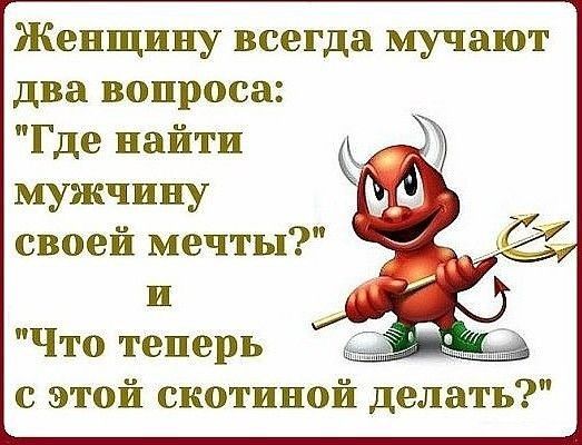 Женщину всегда мучают два вопроса Где найти мужчину своей мечты и Что теперь с этой скотиной делать