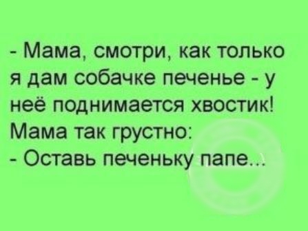 Мама смотри как только я дам собачке печенье у нее поднимается хвостик Мама так грустно Оставь печеньку папе