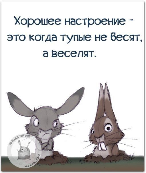Хорошее настроение это когда тупые не бесят а веселят