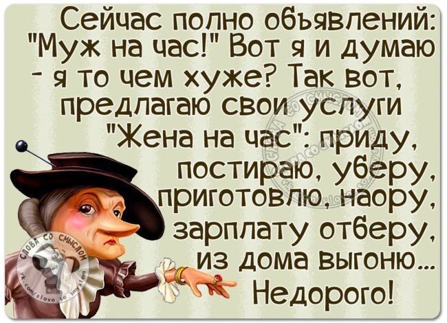 Сейчас попно обьявлений Муж на час Вот я и думаю _ я то чем хуже Так вот предлагаю свои услуги Жена на час приду постираю уберу приготовлю наору зарплату отберу из дома выгоню Ё Недорого
