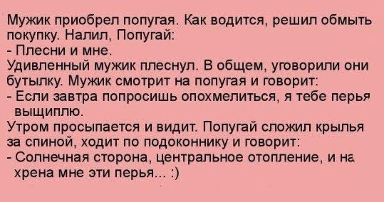 Мужик приобрел попугая Как водится решип обмыть покупку Напип Попушй Ппесни и мне Удивпенный мужик ппеснуп В общем уговорили они бутылку Мужик смотрит на попугая и говорит Еспи завтра попросишь опохмепиться я тебе перья выщиппю Утром просыпается и видит Попугай спожип крылья за спиной ходит по подоконнику и говорит Солнечная сторона центральное отопление и на хрена мне эти перья