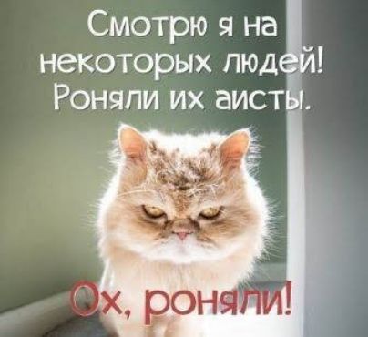 Смотрю я наИ некоторых пюд Роняпи их аистЁі