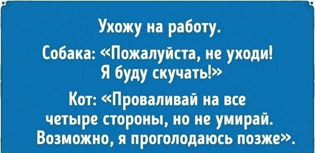 Ухожу на работу Собака Пожалуйста не уходи Я буду скучать Кот Проваливай на все четыре стороны но не умирай Возможно я проголодаюсь позже