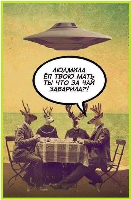 модмим Еп твою мдпг ты что ЗА ЧАИ ЗАВАРИАА