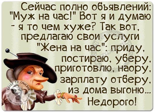 Сейчас попно обьявлений Муж на час Вот я и думаю я то чем хуже Так вот предлагаю свои услуги Жена на час приду постираю уберу приготовлю наору зарплату отберу из дома выгоню д Недорого