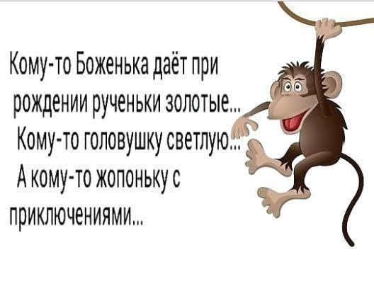 Кому то Боженька даёт при рождении рученьки золотые Кому то головушку светлую Акому тожопонькус приключениями