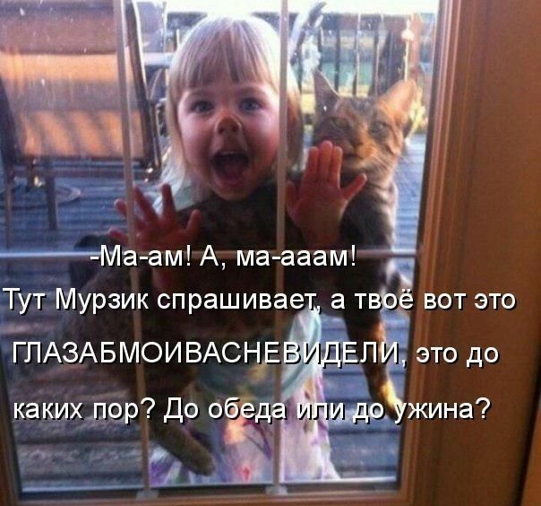 11а амА ма ааам ТутМурзик спрашивае а т 1 вот это ДЕЛАЗАБМОИ ВАСНЁ это до какихдор До 0 им а Дж ______