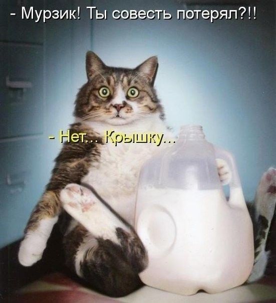 Мурзик Ты соверть потеряп1