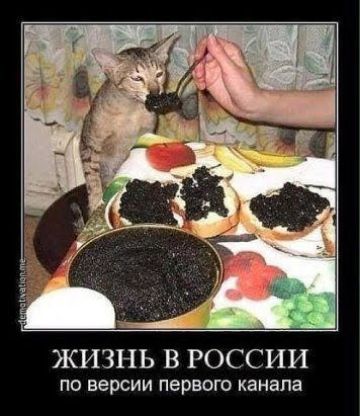 ЖИЗНЬ В РОССИИ по версии первого канала
