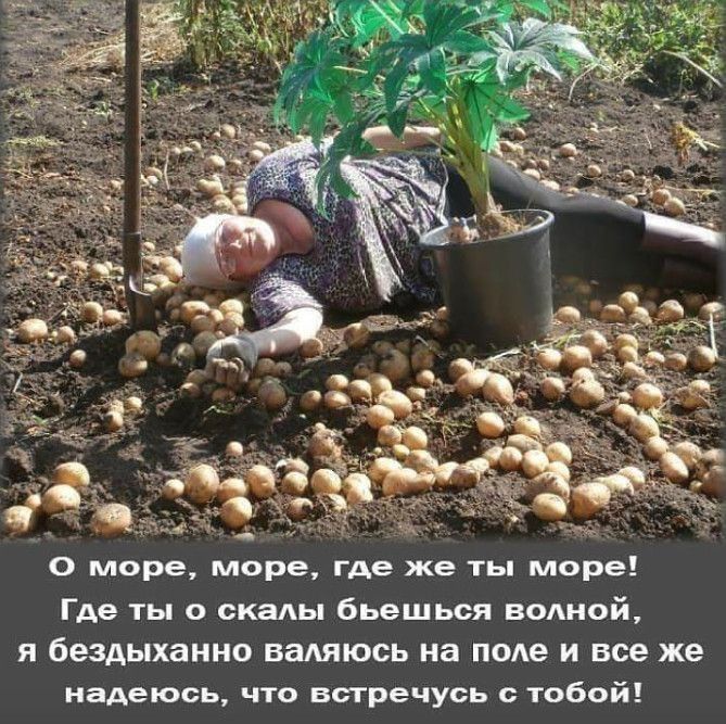0 море море где же ты море Где ты о скаАЫ бьешься водной я беЗАЫХЭННО ВЗАЯЮСЬ на ПОАе И все же надеюсь что встречусь с тобой