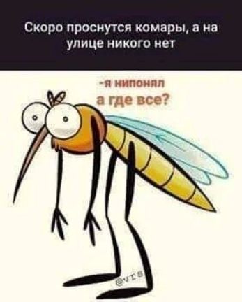 Скоро прпсиутсп комары а на улице никого нет