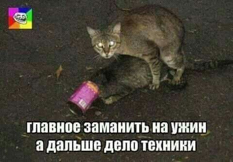 _ _ о ШЗВИПЪ заманить На ужин 8 дальше діпо ТЕХНИКИ