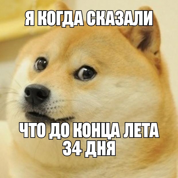 понцд дня