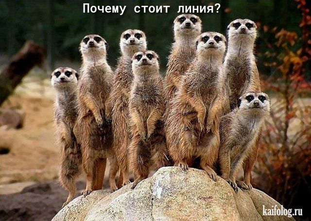 Почему стоит линия?