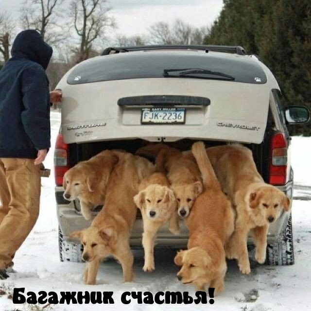 7 _ газмаш сйастыі