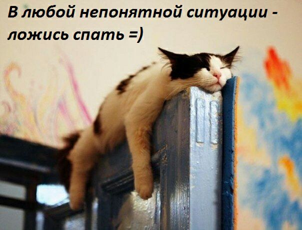 В любой непонятной ситуации ложись спать