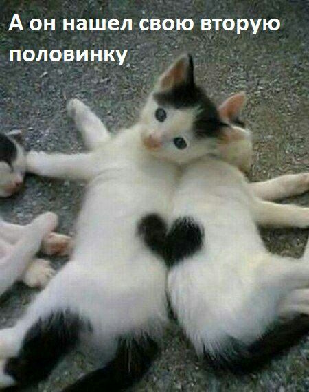 А он нашел ёвою вторую