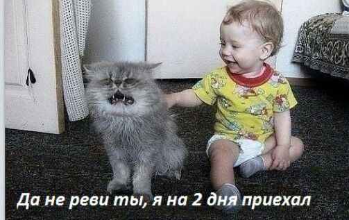 да не реви ты я на 2 дэприехал