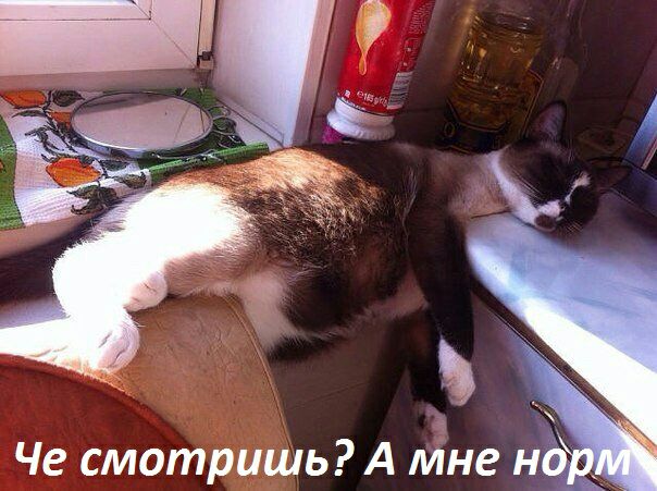 Че смотришь А Мне н
