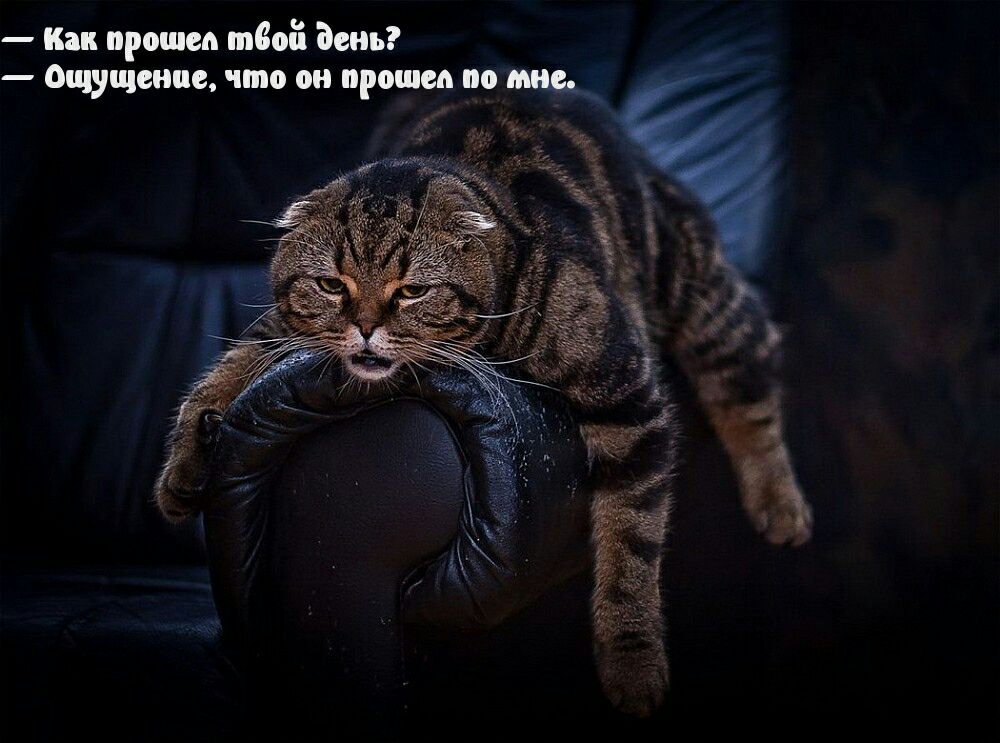 Как прописи твоё Бень Ощущение что он прописи по