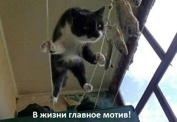 В ЖИЗНИ главное МОТИВ А