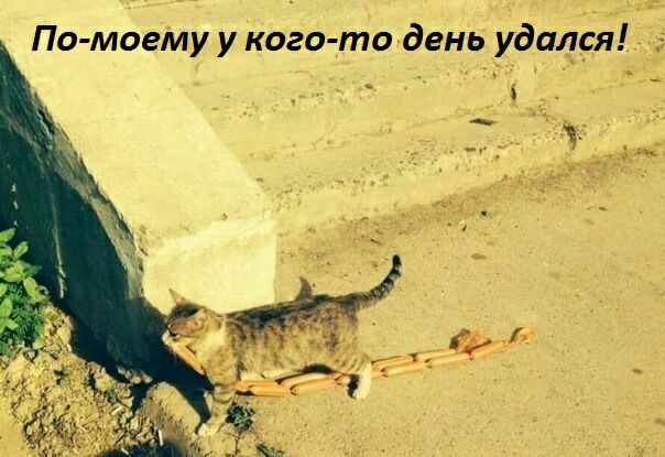 Помоему у когото день уда. Ся