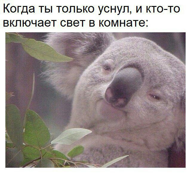 Когда ТЫ ТОЛЬКО УСНУЛ И КТО ТО ВКЛЮЧЭЭТ СВЭТ В комнате