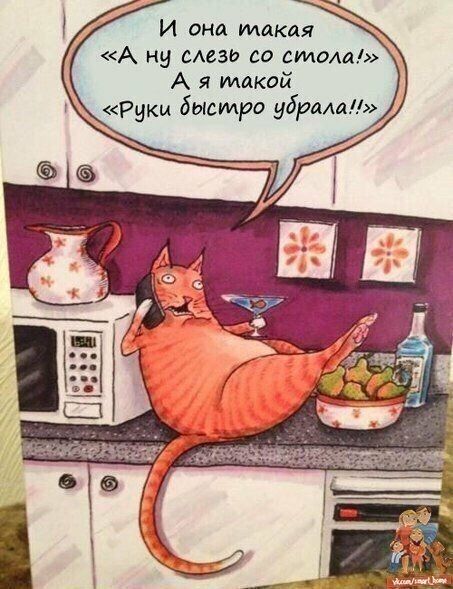 И она такая А на мозг со стола А я такой Руки быстро убриа