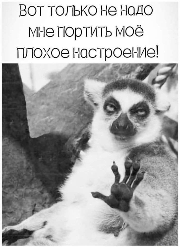 Вот только не надо мне П0рТИТЬ моё плохое НОСТрОеНИе а