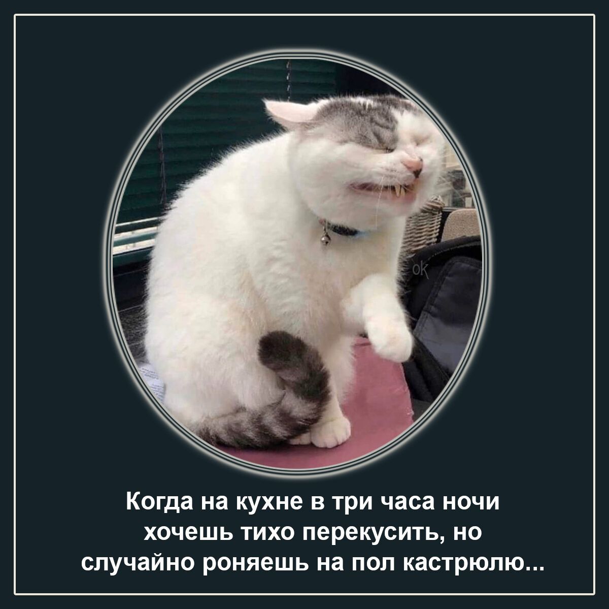 Когда на кухне в три часа ночи хочешь тихо перекусить но случайно роняешь на пол кастрюлю