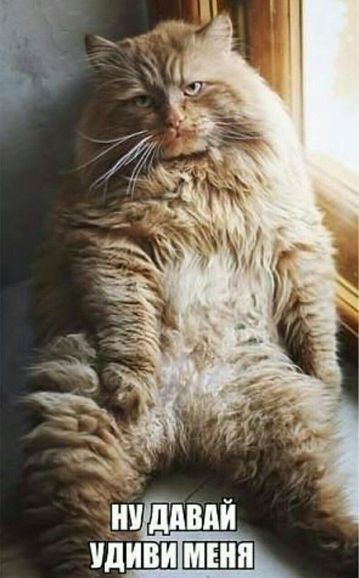 Ъ Щ ддвпй идЁиви меня