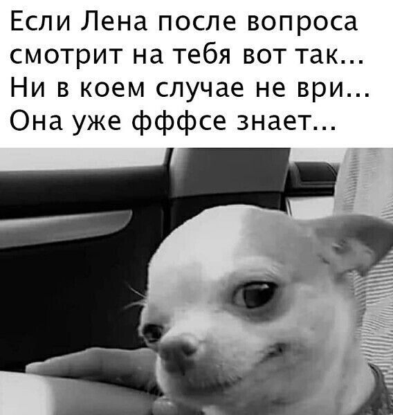 Если Лена после вопроса смотрит на тебя вот так Ни в коем случае не ври Она уже фффсе знает