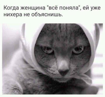Когда женщина всё поняла ей уже нихера не объяснишь